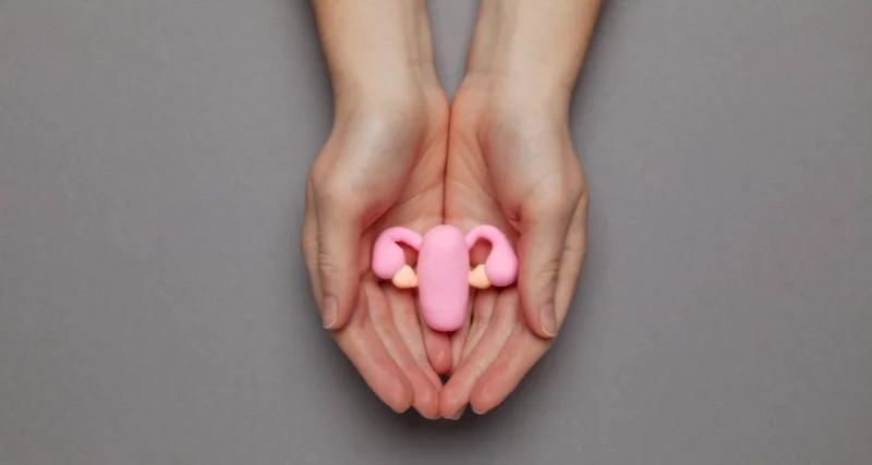 Mestrado em Endometriose 2