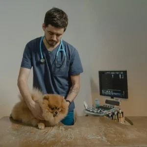Curso de POCUS e Procedimentos Ecoguiados em Urgências Veterinárias 1