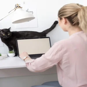 Curso sobre Programas de Emagrecimento Baseados em Evidências (Cães e Gatos)