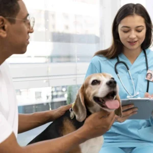Diplomado em Atendimento Crítico Veterinário Aplicado (ECC/UTI)
