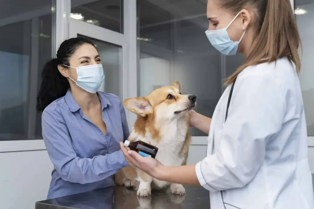 Diplomado em Atendimento Crítico Veterinário Aplicado (ECC/UTI) 2