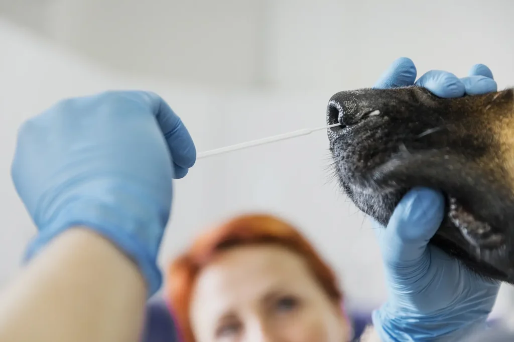 Mestrado em Cirurgia de Tecidos Moles e Anestesia Veterinária 2