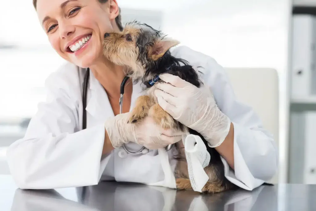Mestrado em Nutrição Clínica e Gestão de Peso em Pequenos Animais 2