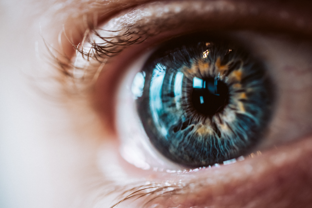 Curso de Manejo Clínico de Patologias Retinianas e Maculares