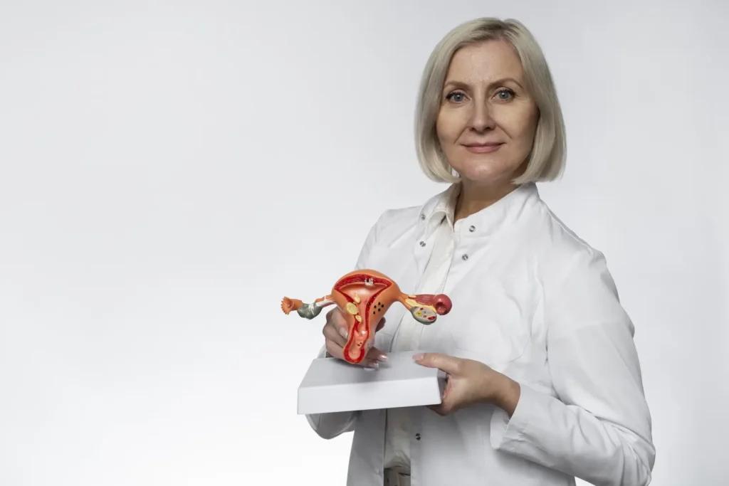 Diplomado em Anatomia e Fisiologia do Aparelho Reprodutor Feminino 1