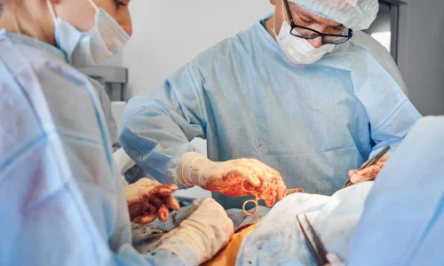 Curso de Inteligência Artificial em Cirurgia Bariátrica 2