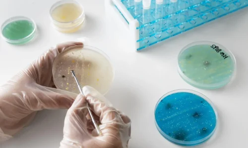 Curso de Análisis e Identificación de Microplásticos en Laboratorio 1