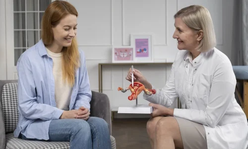 Curso de Anatomia e Fisiologia do Aparelho Reprodutor Feminino  1