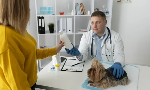 Curso de Urolitiasis Canina y Felina: Diagnóstico, Dieta e Intervención 1
