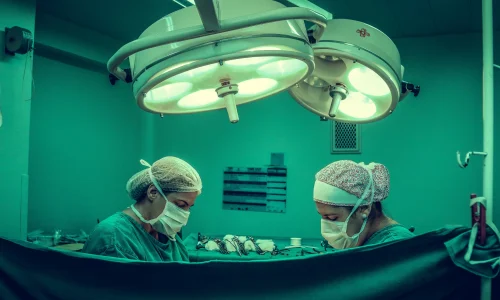 iseie, salud metabólica, pérdida de peso, tracto gastrointestinal, bypass gástrico, gastrectomía en manga, banda gástrica, avances en técnicas quirúrgicas, Curso de Cirugía Bariátrica y Metabólica, tratamiento de la obesidad, enfermedades metabólicas, cirugía de pérdida de peso, técnicas quirúrgicas, técnicas quirúrgicas avanzadas