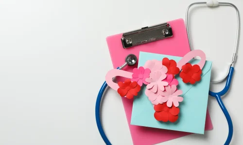 Curso en Endocrinología Femenina, Ciclo Menstrual y Fertilidad 1