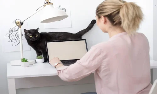 Curso sobre Programas de Emagrecimento Baseados em Evidências (Cães e Gatos)