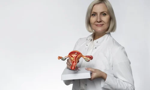 Diplomado em Anatomia e Fisiologia do Aparelho Reprodutor Feminino 1