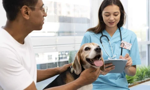 Diplomado em Atendimento Crítico Veterinário Aplicado (ECC/UTI) 1