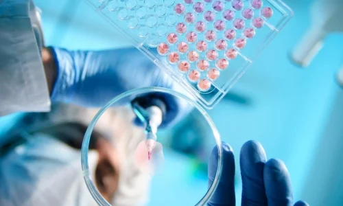 Diplomado em Bioética e Aspectos Legais 2