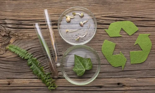 Diplomado en Economía Circular y Reducción de Microplásticos 1