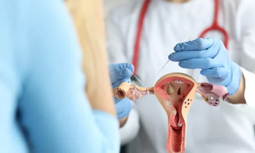 Diplomado en Endocrinología Reproductiva 1