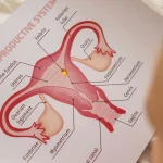 Diplomado em Ginecologia Clínica 3