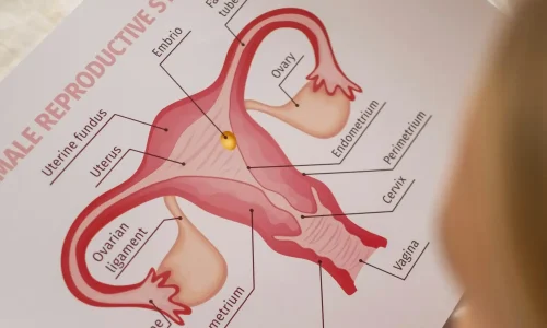 Diplomado em Ginecologia Clínica 3