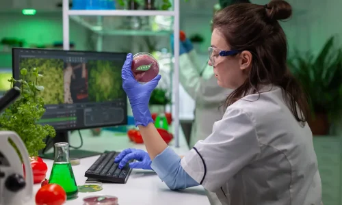 Diplomado em Nutrição Aplicada e Controle Metabólico em Pequenos Animais 1
