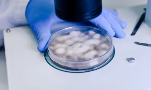Diplomado en Tecnologías de Mitigación y Tratamiento de Microplásticos 1