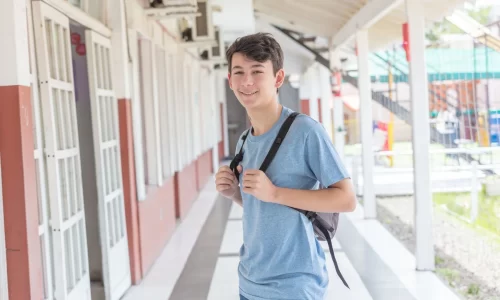 Curso de Convivencia Escolar, ISEIE Brasil