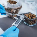 Mestrado em Nutrição Clínica e Gestão de Peso em Pequenos Animais 1