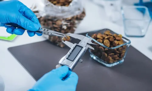 Mestrado em Nutrição Clínica e Gestão de Peso em Pequenos Animais 1