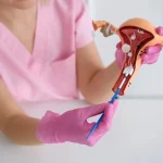 Mestrado em Anatomia e Fisiologia do Aparelho Reprodutor Feminino 1