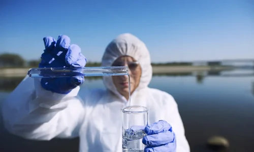 Máster en Ciencia y Monitoreo Ambiental de Microplásticos 1