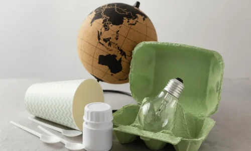 Máster en Economía Circular Ecodiseño y Sustitución de Plásticos 1