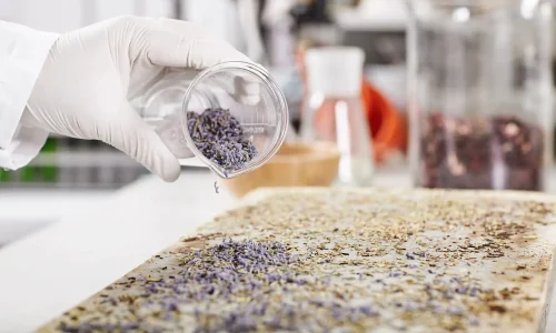 Máster en Ingeniería de Tratamiento y Remediación de Microplásticos 1