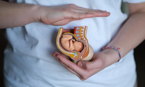 Mestrado em Reprodução Humana Assistida 1