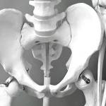 Mestrado em Uroginecologia e Assoalho Pélvico 1