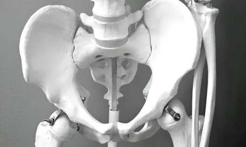 Mestrado em Uroginecologia e Assoalho Pélvico 1